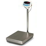 Salter S100 Platform Scale