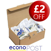 econoPOST Brown Postal Box 250 x 150 x100mm